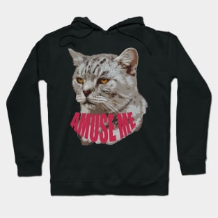 Amuse me Hoodie